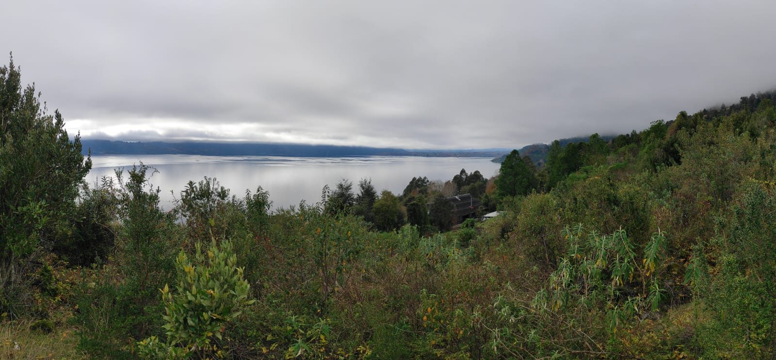 Lago Ranco, mirador Pitreño