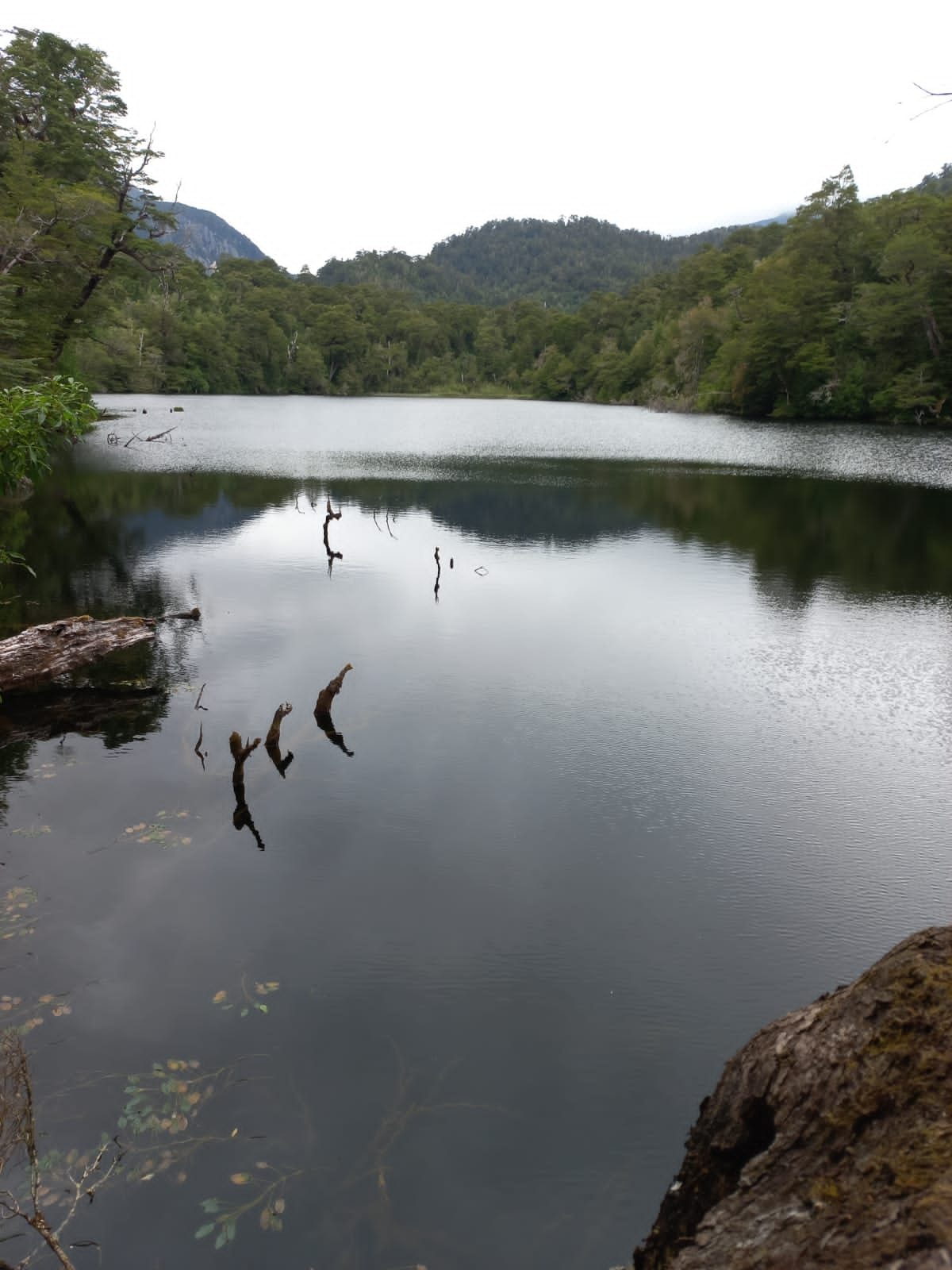 Comuna de Cisne, Provincia de Aysén